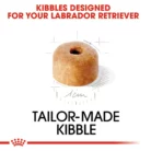 royal-canin-labrador-retriever-puppy-kibble