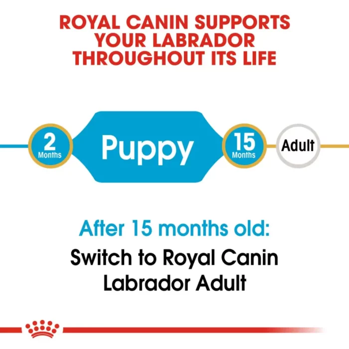 royal-canin-labrador-retriever-puppy-lifespan royal-canin-labrador-retriever-puppy-lifespan