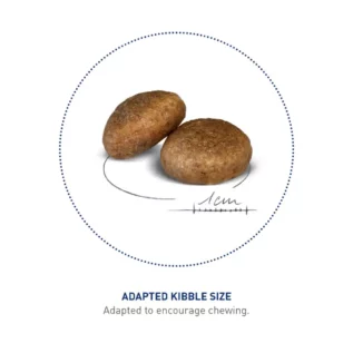royal-canin-maxi-adult-kibble royal-canin-maxi-adult-kibble