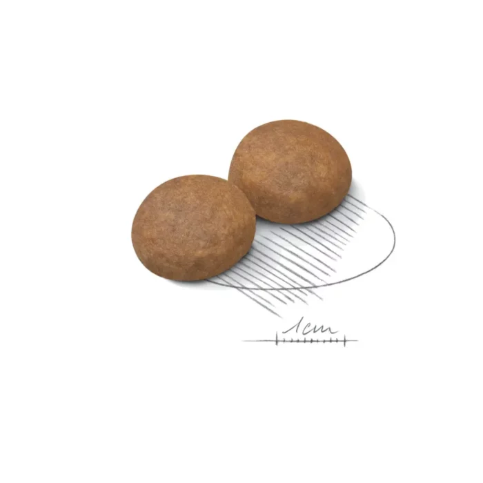 royal-canin-maxi-adult-kibble royal-canin-maxi-adult-kibble