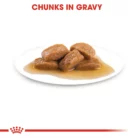 royal-canin-maxi-ageing-lated-chuncks-in-gravy