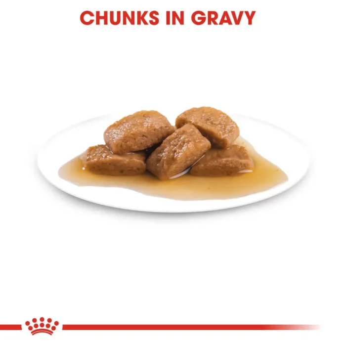 royal-canin-maxi-ageing-lated-chuncks-in-gravy royal-canin-maxi-ageing-lated-chuncks-in-gravy