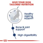 royal-canin-maxi-ageing-tailored-nutrition