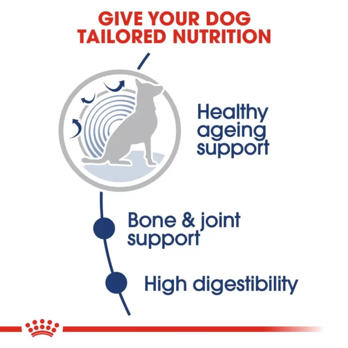 royal-canin-maxi-ageing-tailored-nutrition royal-canin-maxi-ageing-tailored-nutrition