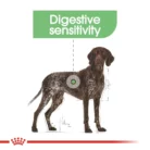 royal-canin-maxi-digestive-care-german-pointer