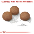 royal-canin-maxi-digestive-care-kibble