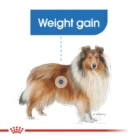 royal-canin-maxi-light-weight-care-breed-collie-weight-gain