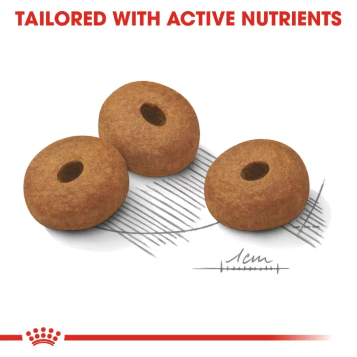 royal-canin-maxi-light-weight-care-kibble royal-canin-maxi-light-weight-care-kibble