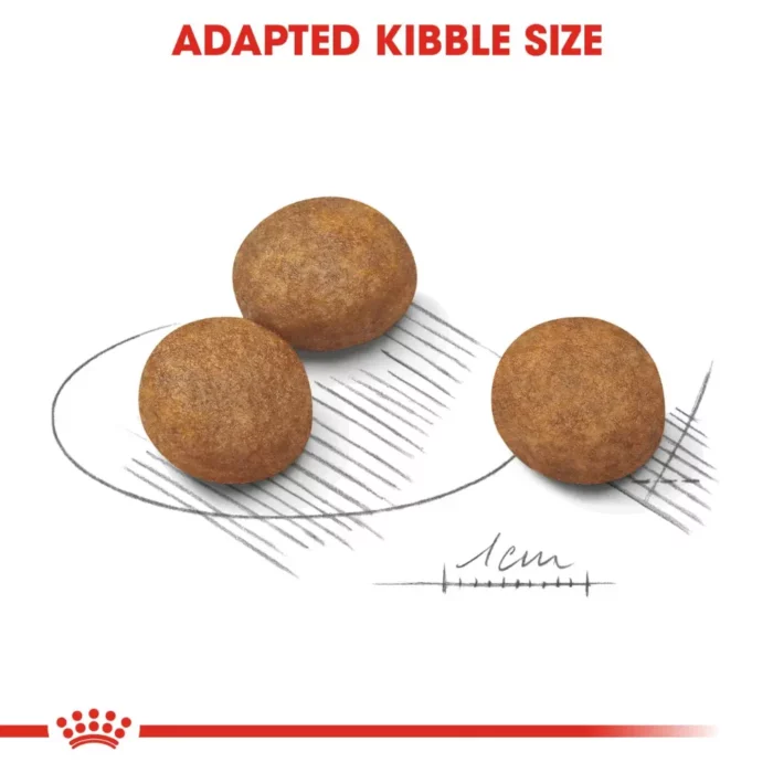 royal-canin-maxi-puppy-kibble royal-canin-maxi-puppy-kibble