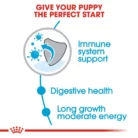 royal-canin-maxi-puppy-lifestage