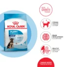 royal-canin-maxi-puppy-nutrients
