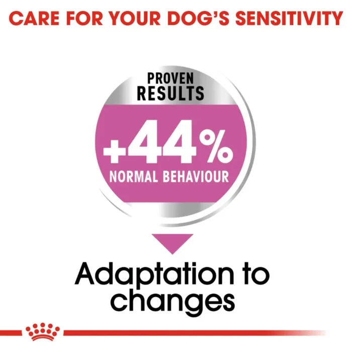 royal-canin-maxi-relax-care-adaptation-to-changes royal-canin-maxi-relax-care-adaptation-to-changes