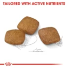 royal-canin-maxi-relax-care-kibble