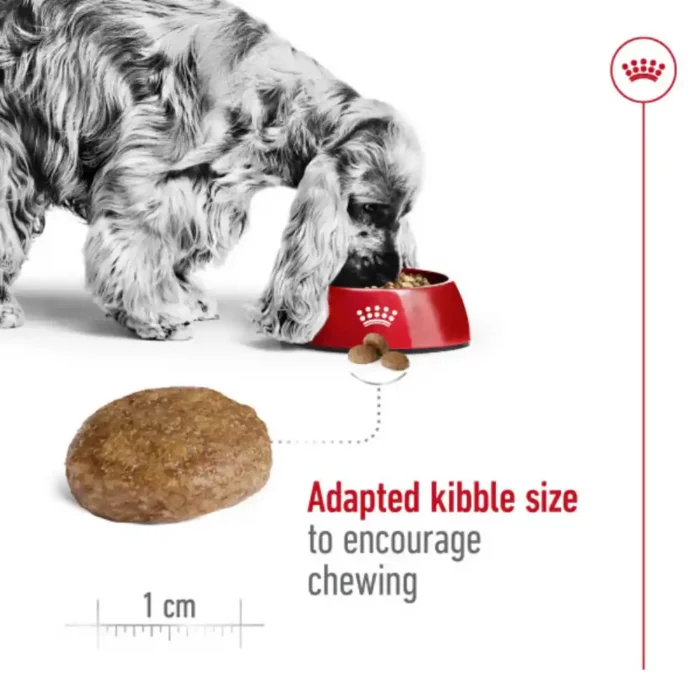royal-canin-medium-adult-7-feeding-kibble royal-canin-medium-adult-7-feeding-kibble