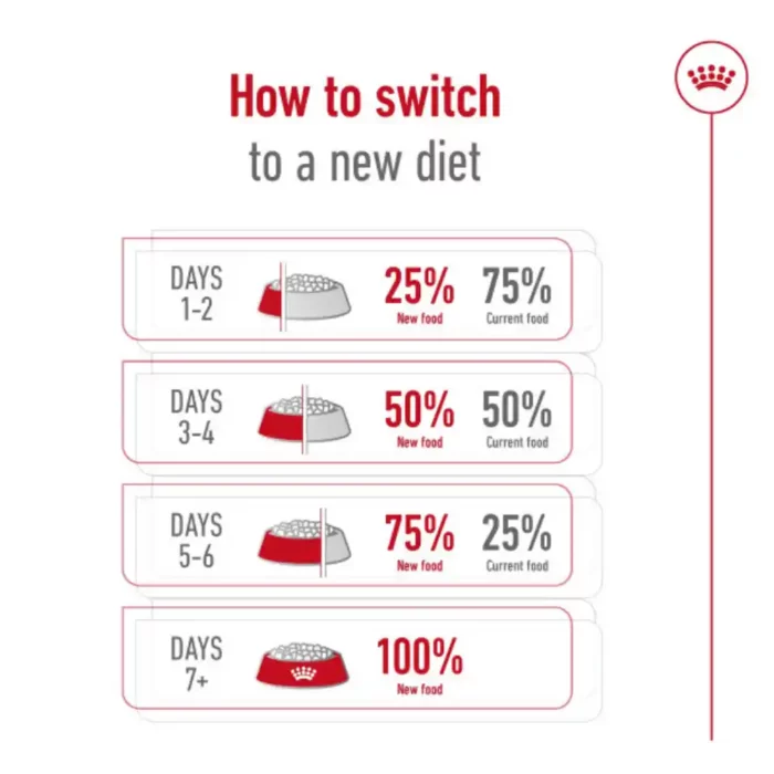 royal-canin-medium-adult-7-how-to-switch royal-canin-medium-adult-7-how-to-switch