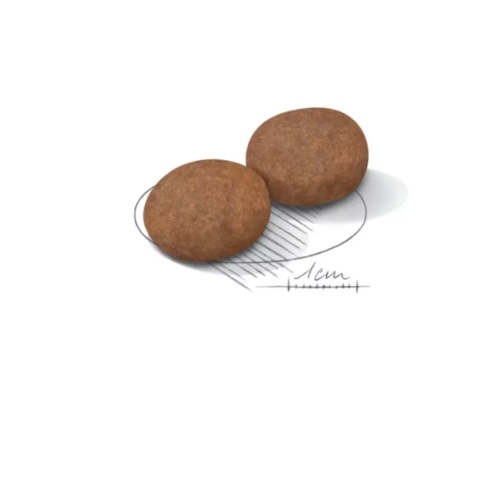 royal-canin-medium-adult-7-kibble royal-canin-medium-adult-7-kibble