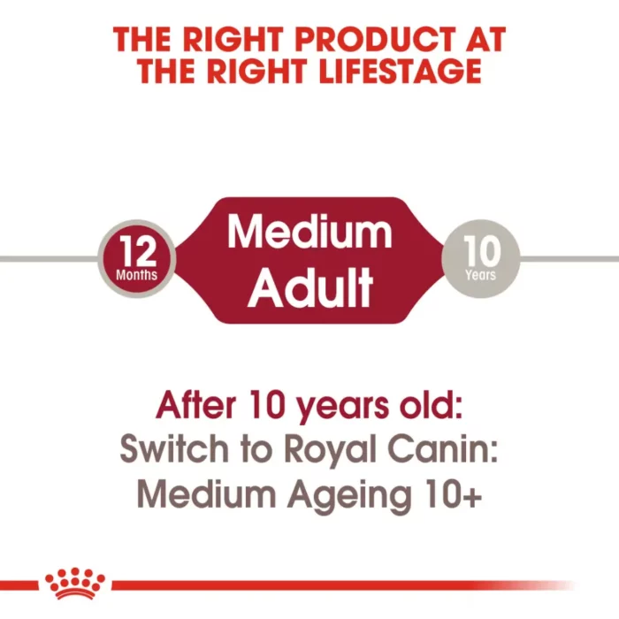 royal-canin-medium-adult-lifestage-nutrition royal-canin-medium-adult-lifestage-nutrition