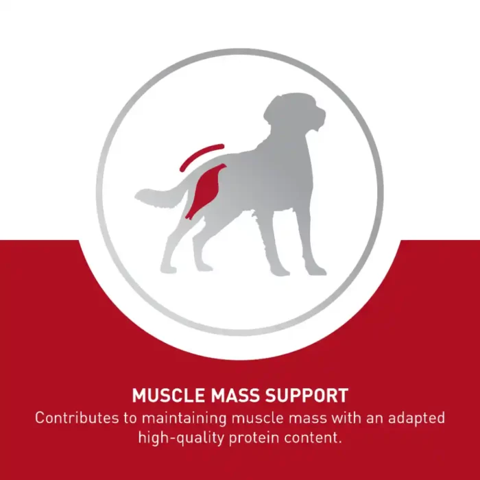 royal-canin-medium-adult-muscle-mass-support royal-canin-medium-adult-muscle-mass-support