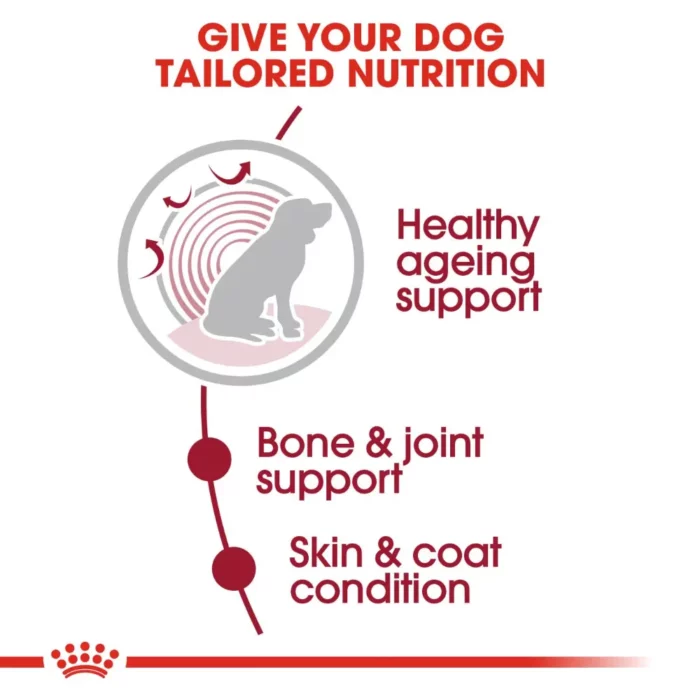 royal-canin-medium-ageing-03 royal-canin-medium-ageing-03