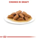 royal-canin-medium-ageing-kibble