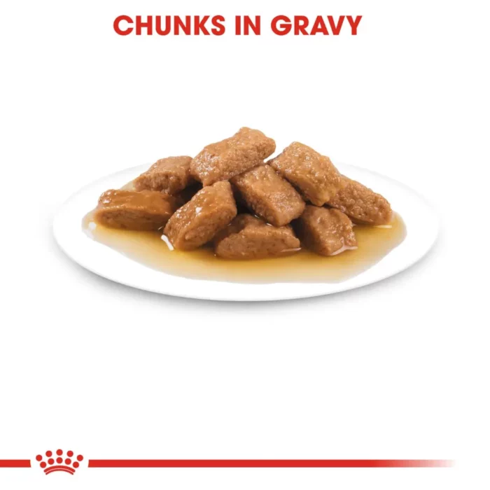 royal-canin-medium-ageing-kibble royal-canin-medium-ageing-kibble