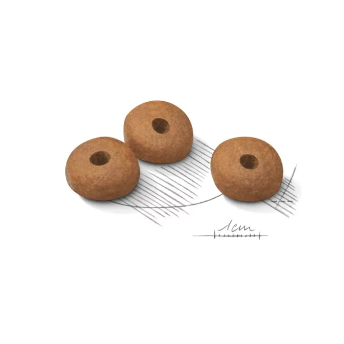 royal-canin-medium-light-weight-care-kibble royal-canin-medium-light-weight-care-kibble