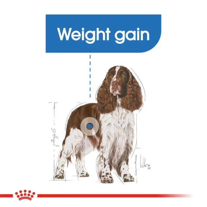 royal-canin-medium-light-weight-care--king-charles-spaniel royal-canin-medium-light-weight-care--king-charles-spaniel