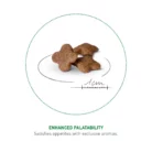 royal-canin-mini-adult-ageing-8-kibble