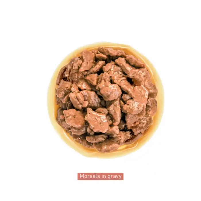 royal-canin-mini-adult-product-chunks-in-gravy royal-canin-mini-adult-product-chunks-in-gravy