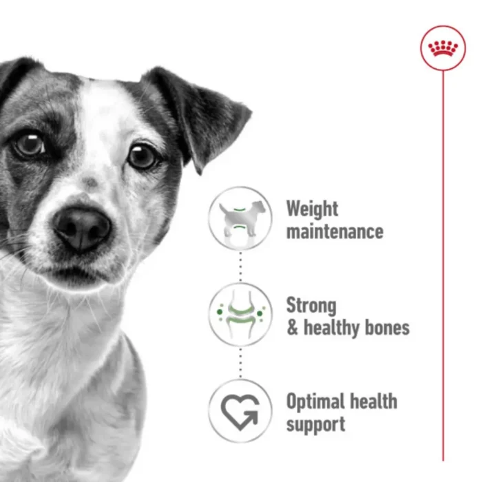 royal-canin-mini-adult-product-life-stage royal-canin-mini-adult-product-life-stage