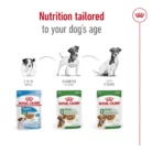 royal-canin-mini-adult-product-nutrition