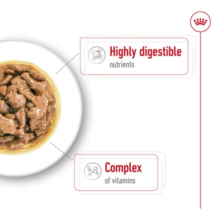royal-canin-mini-adult-product-plated royal-canin-mini-adult-product-plated