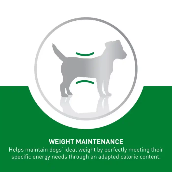 royal-canin-mini-adult-product-weight-maintenance royal-canin-mini-adult-product-weight-maintenance