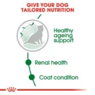 royal-canin-mini-ageing-12-02