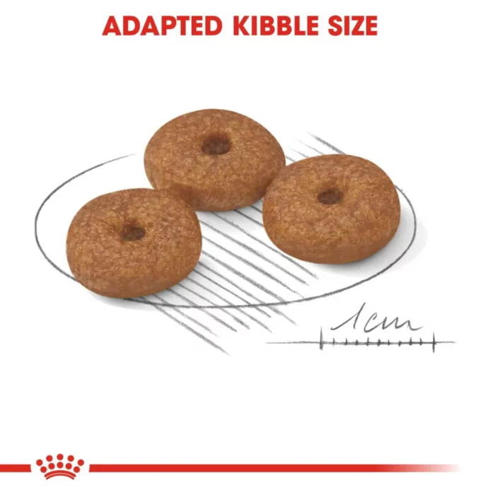 royal-canin-mini-ageing-12-kibble royal-canin-mini-ageing-12-kibble