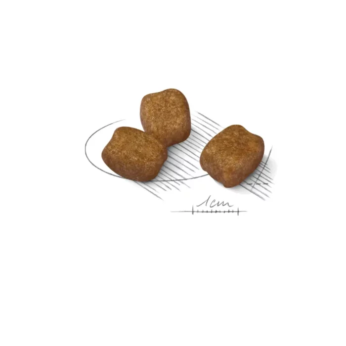 royal-canin-mini-dental-care-kibble royal-canin-mini-dental-care-kibble