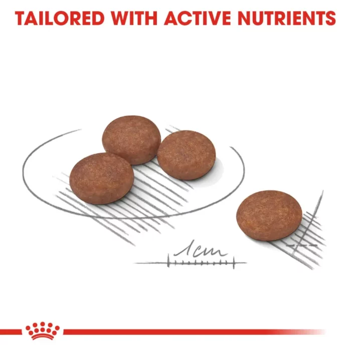 royal-canin-mini-digestive-care-kibble royal-canin-mini-digestive-care-kibble