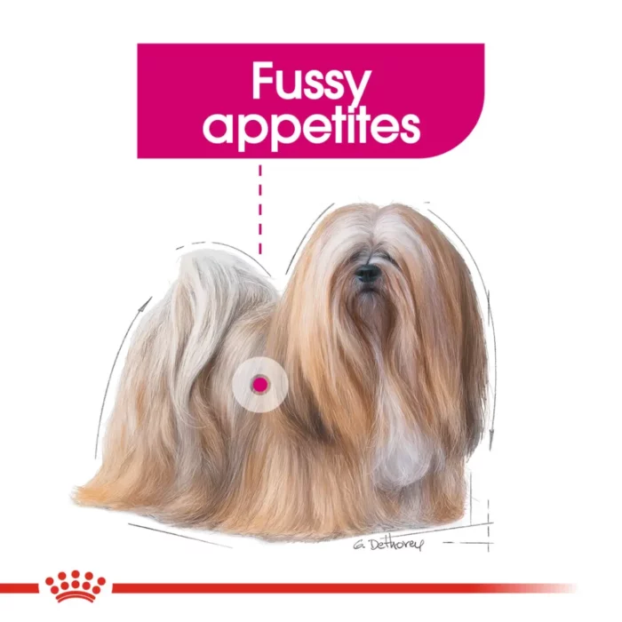 royal-canin-mini-exigent-fussy-appetite royal-canin-mini-exigent-fussy-appetite