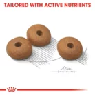 royal-canin-mini-light-weight-care-kibble