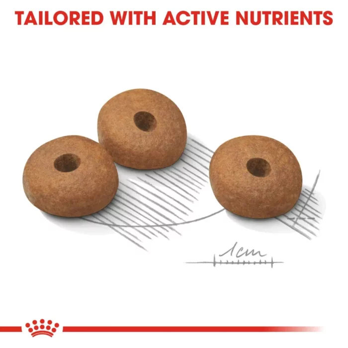 royal-canin-mini-light-weight-care-kibble royal-canin-mini-light-weight-care-kibble
