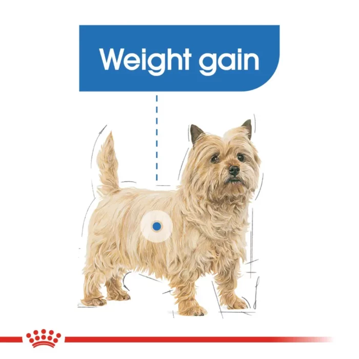 royal-canin-mini-light-weight-care-yorkie royal-canin-mini-light-weight-care-yorkie
