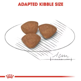 royal-canin-mini-puppy-kibble royal-canin-mini-puppy-kibble