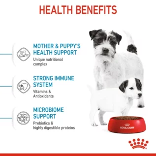 royal-canin-mini-starter-mother-babydog-05 royal-canin-mini-starter-mother-babydog-05