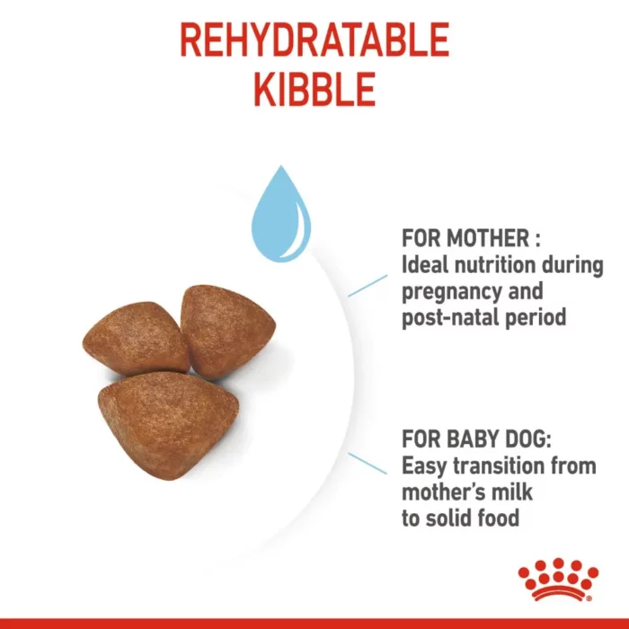 royal-canin-mini-starter-mother-babydog-kibble royal-canin-mini-starter-mother-babydog-kibble