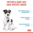 royal-canin-mini-starter-mother-babydog-mother-and-puppy-needs