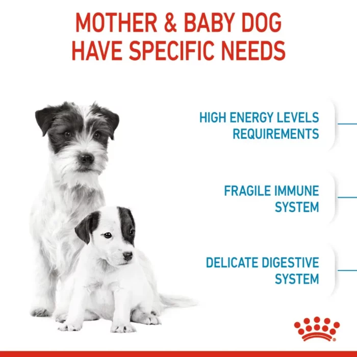 royal-canin-mini-starter-mother-babydog-mother-and-puppy-needs royal-canin-mini-starter-mother-babydog-mother-and-puppy-needs
