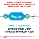 royal-canin-miniature-schnauzer-puppy-food-transitioning