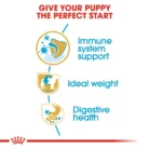 royal-canin-miniature-schnauzer-puppy-nutrients