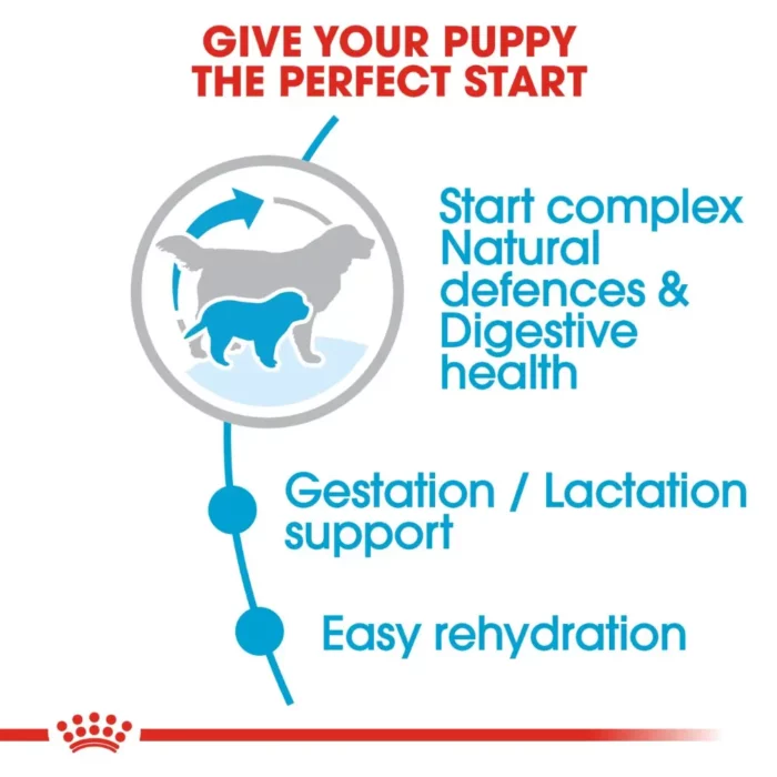 royal-canin-nutrition royal-canin-nutrition
