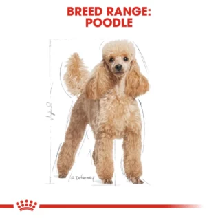 royal-canin-poodle-adult royal-canin-poodle-adult